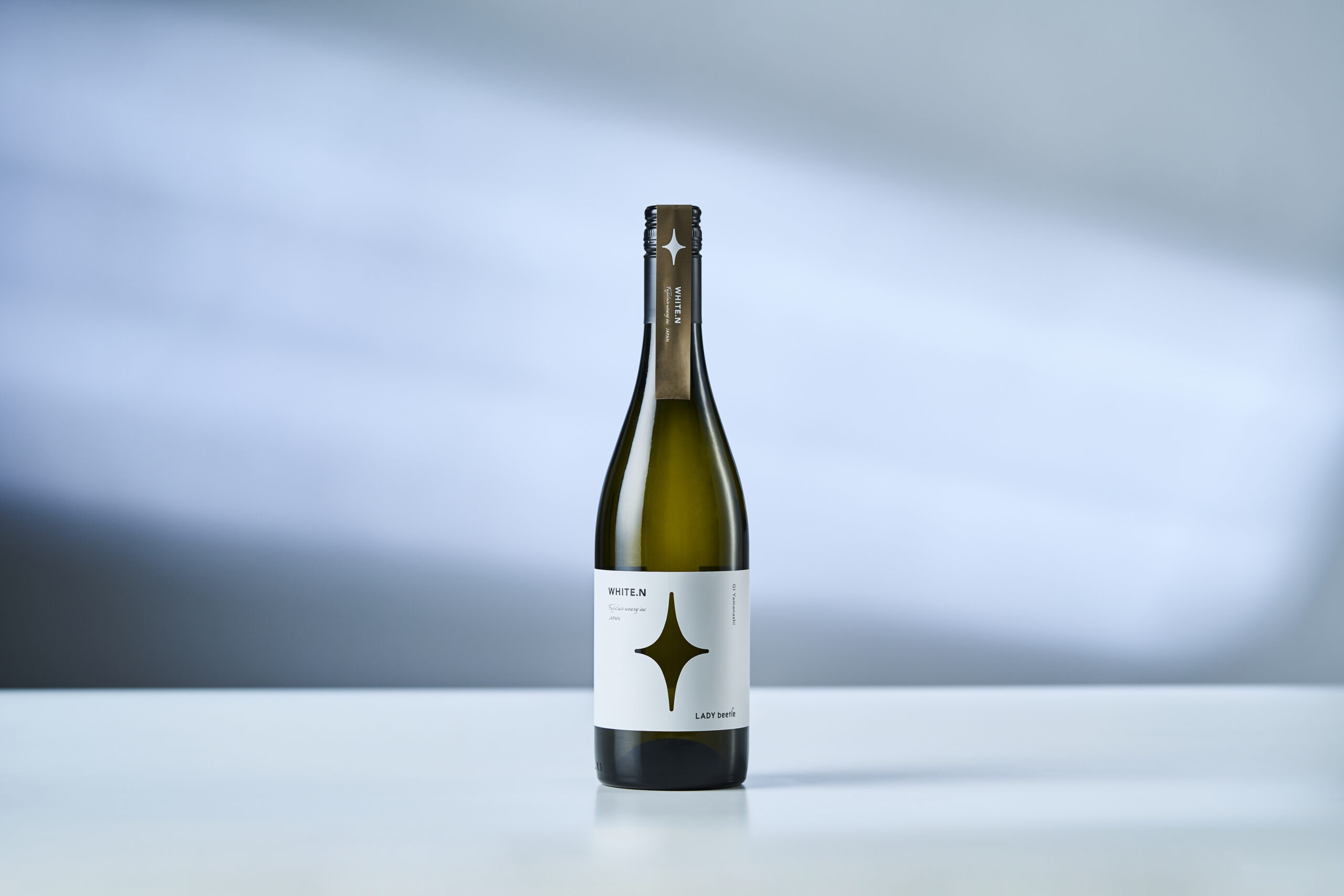 【送料無料】みんなで乾杯!冬のパーティーアソート - 画像 (2)