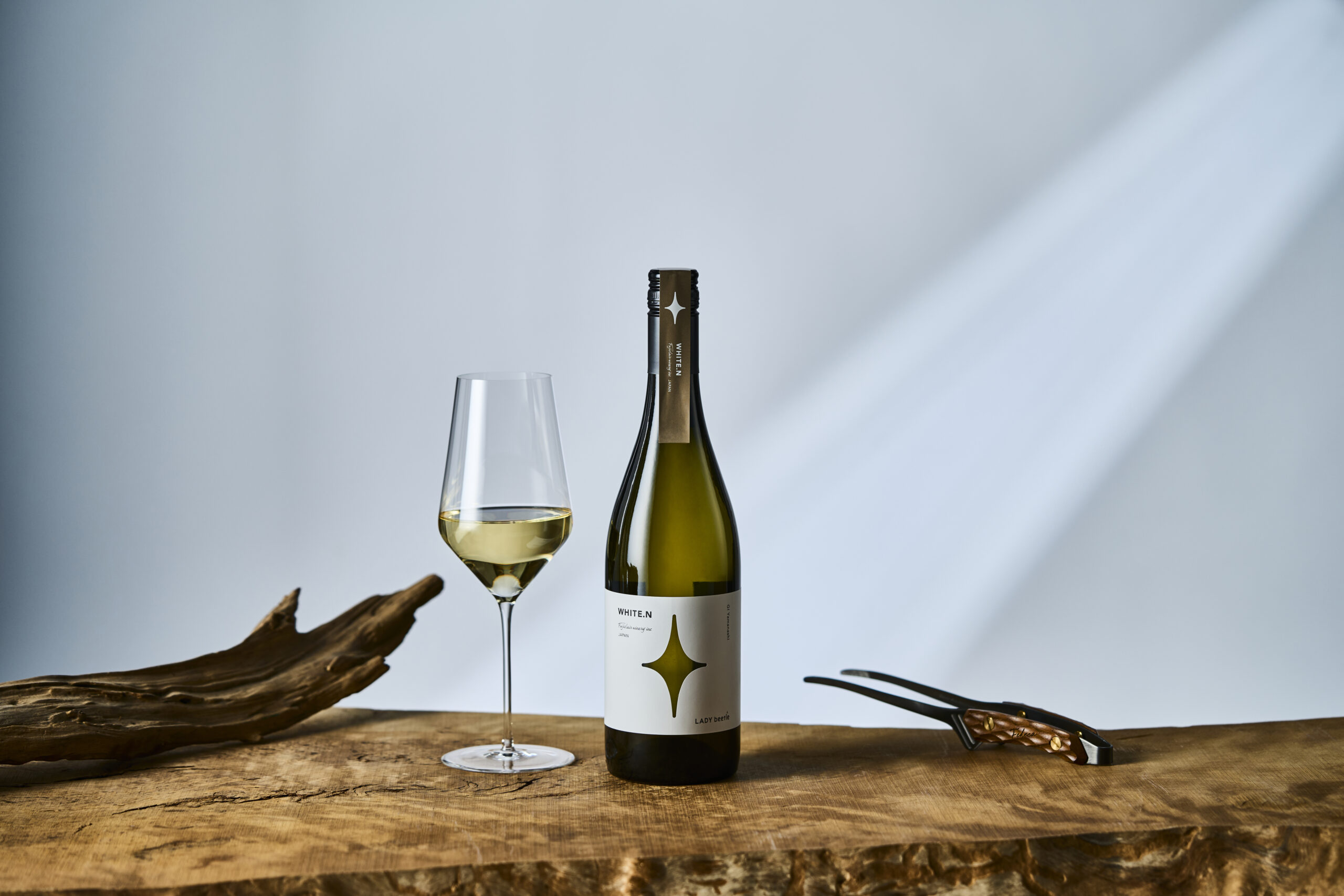 【送料無料】LADY beetle 3本セット2025 - 画像 (3)