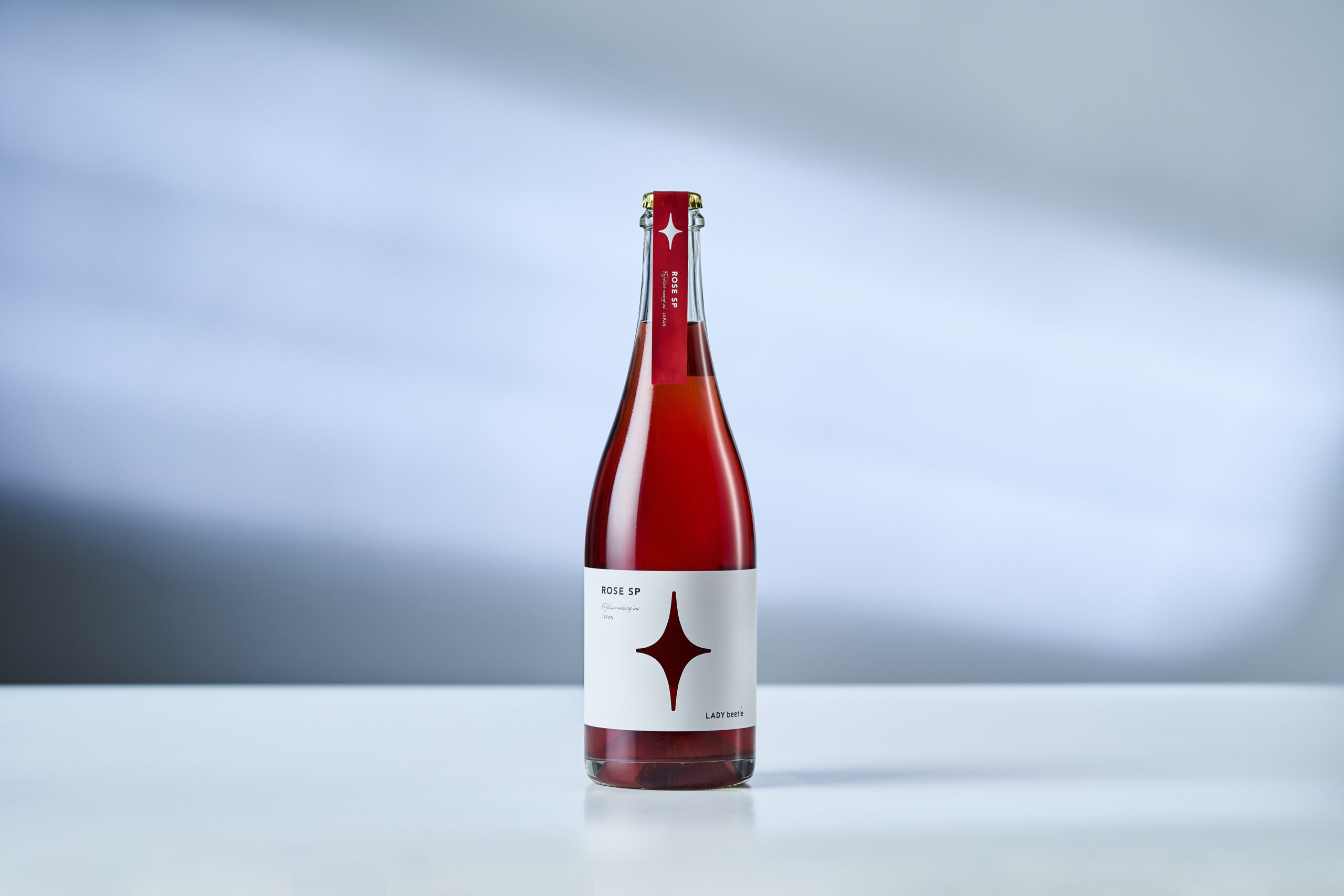 【送料無料】みんなで乾杯!冬のパーティーアソート - 画像 (6)