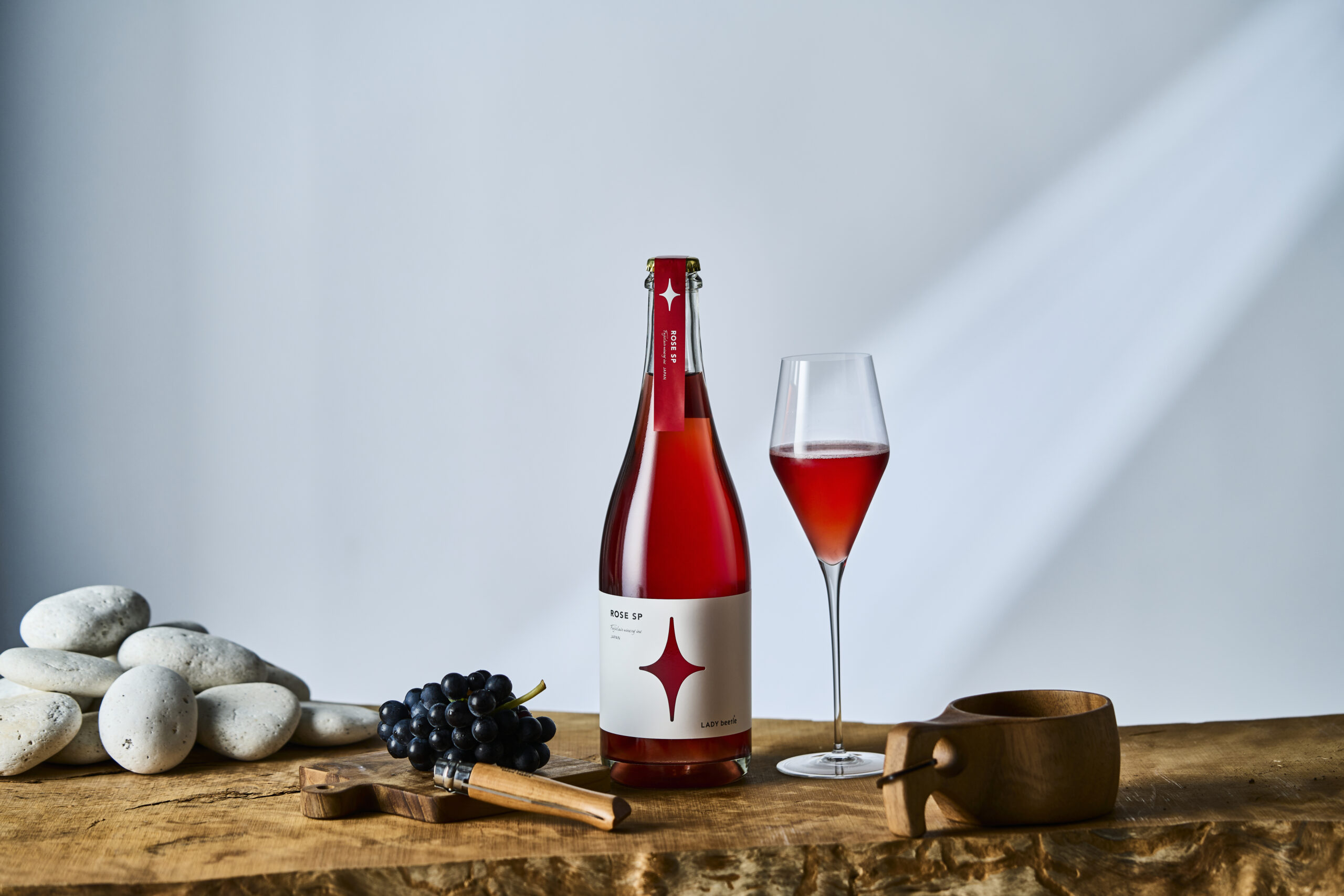 【送料無料】LADY beetle 3本セット2025 - 画像 (2)