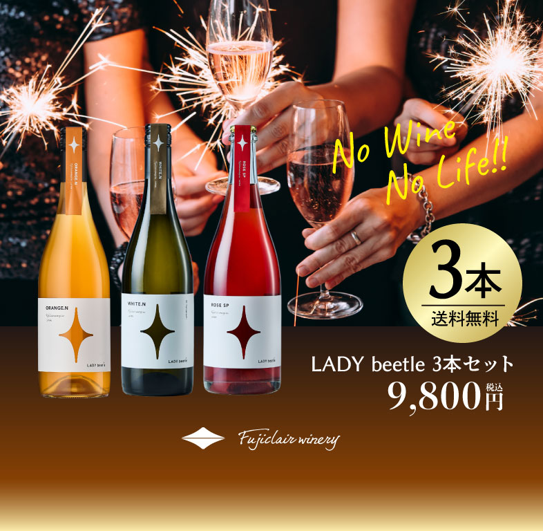 【送料無料】LADY beetle 3本セット2025