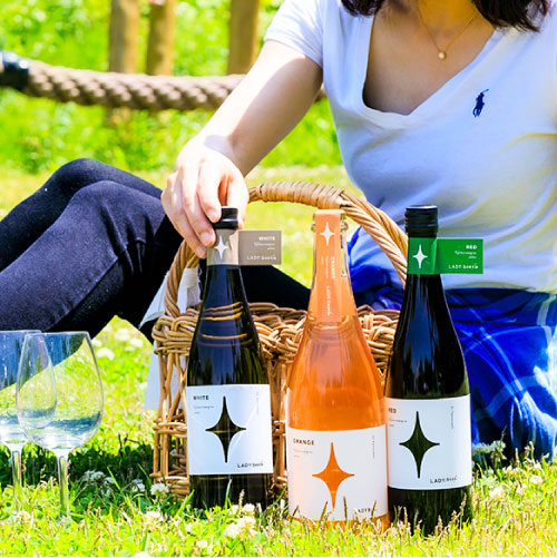 【送料無料】LADY beetle 3本セット2025 - 画像 (5)