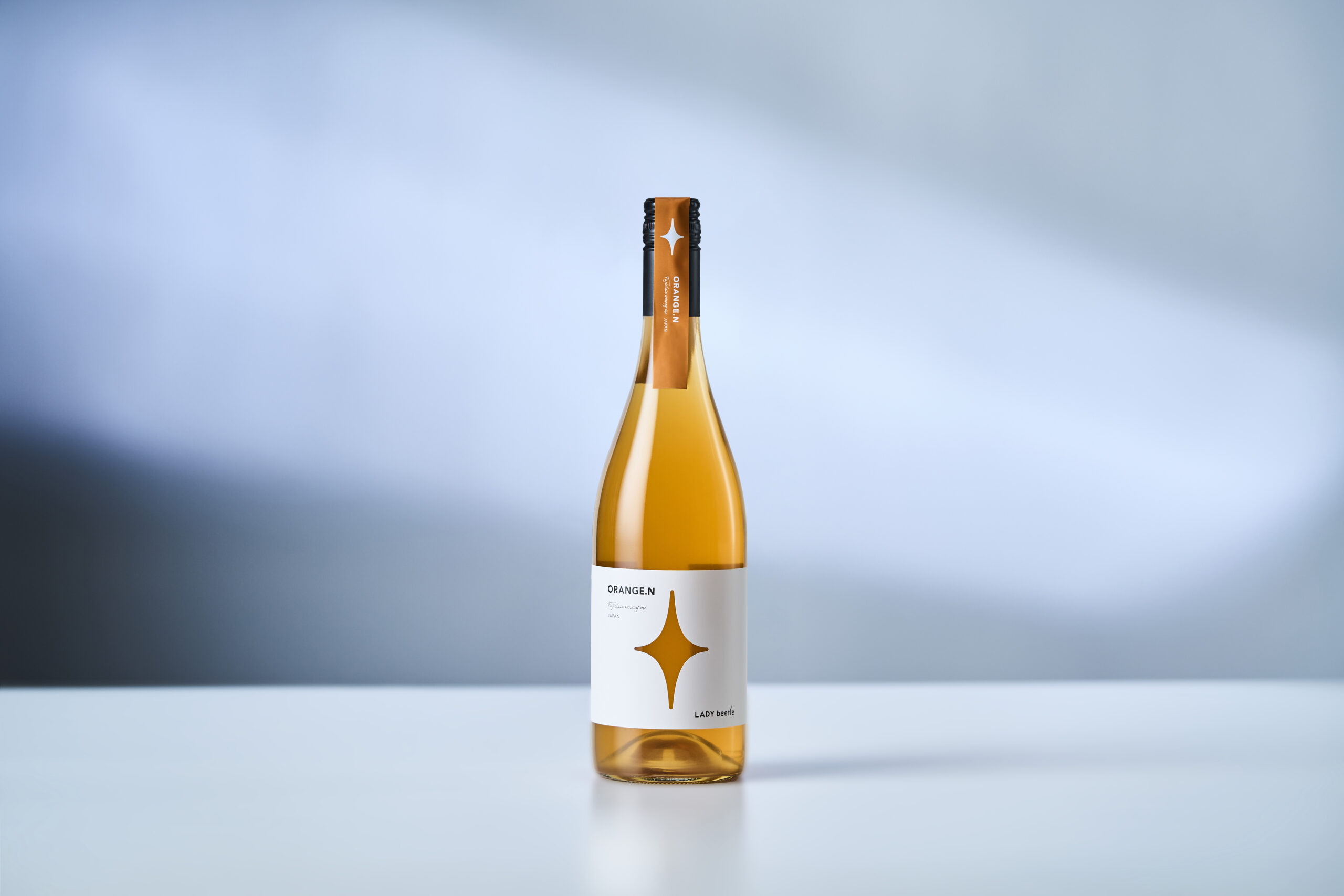 【送料無料】みんなで乾杯!冬のパーティーアソート - 画像 (4)