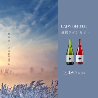 【ギフト箱・包装付き】LADY beetle受賞ワインセット
