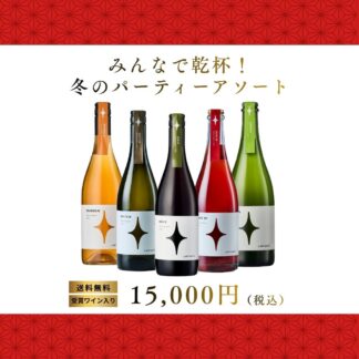 【送料無料】みんなで乾杯！冬のパーティーアソート